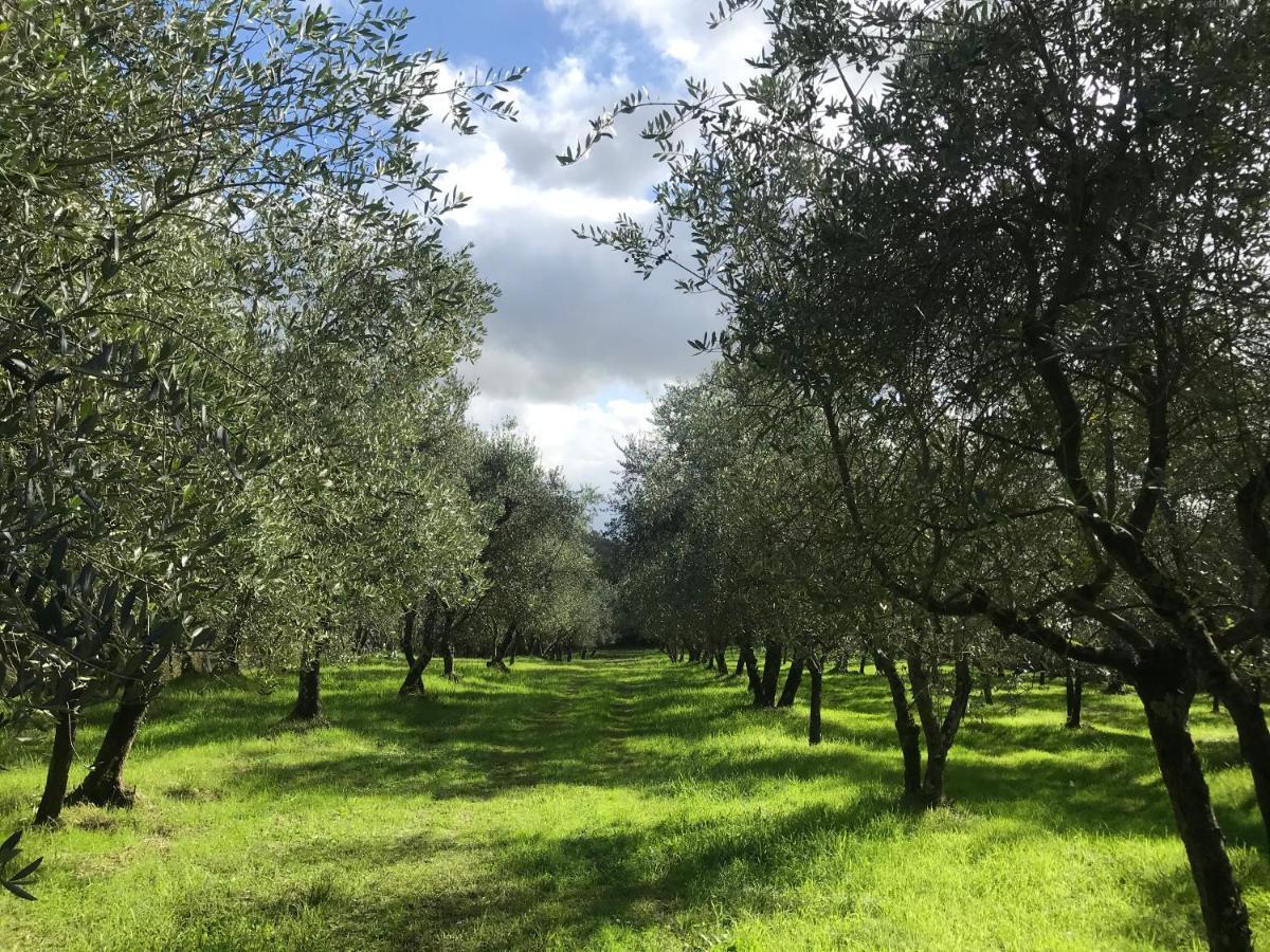 Agriturismo Podere I' Caldino Troghi Dış mekan fotoğraf