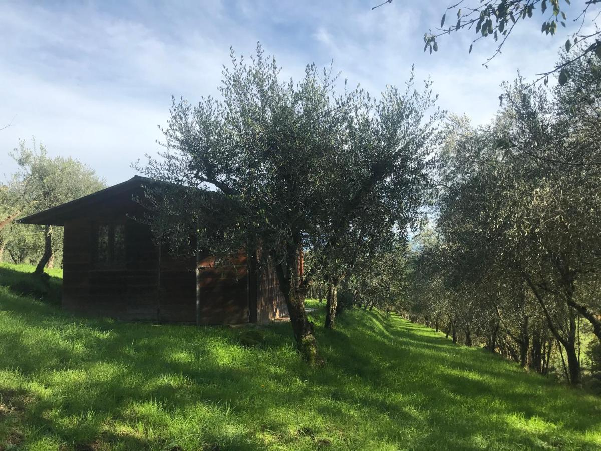 Agriturismo Podere I' Caldino Troghi Dış mekan fotoğraf